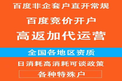 百度推广服务费案例：让品牌快速崛起的秘诀